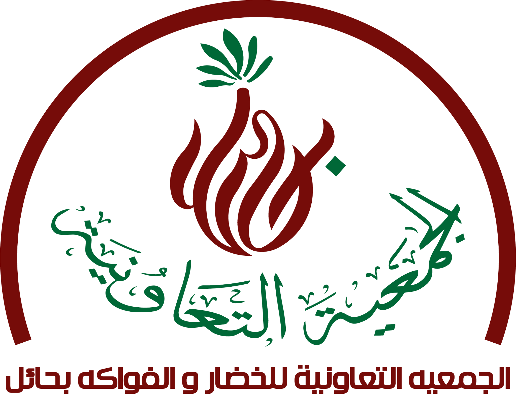 الجمعية التعاونية للخضار والفواكه بحائل